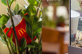 McDonald&#8217;s зобразив своє використане пакування у домах людей