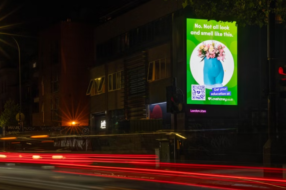 «Мастурбация не влияет на зрение»: билборды бросили вызов сексуальному воспитанию британцев