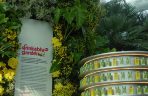 Сингапурский бренд напитков создал сад из хризантем
