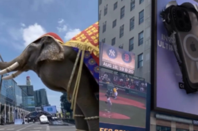 Гігантський слон та стрибаючі iPhone з&#8217;явилися на вулицях Нью-Йорка та Бангкока