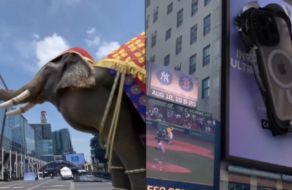 Гигантский слон и прыгающие iPhone появились на улицах Нью-Йорка и Бангкока