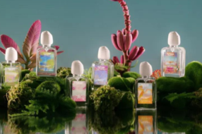 На основі запахів зниклих квітів створили парфуми