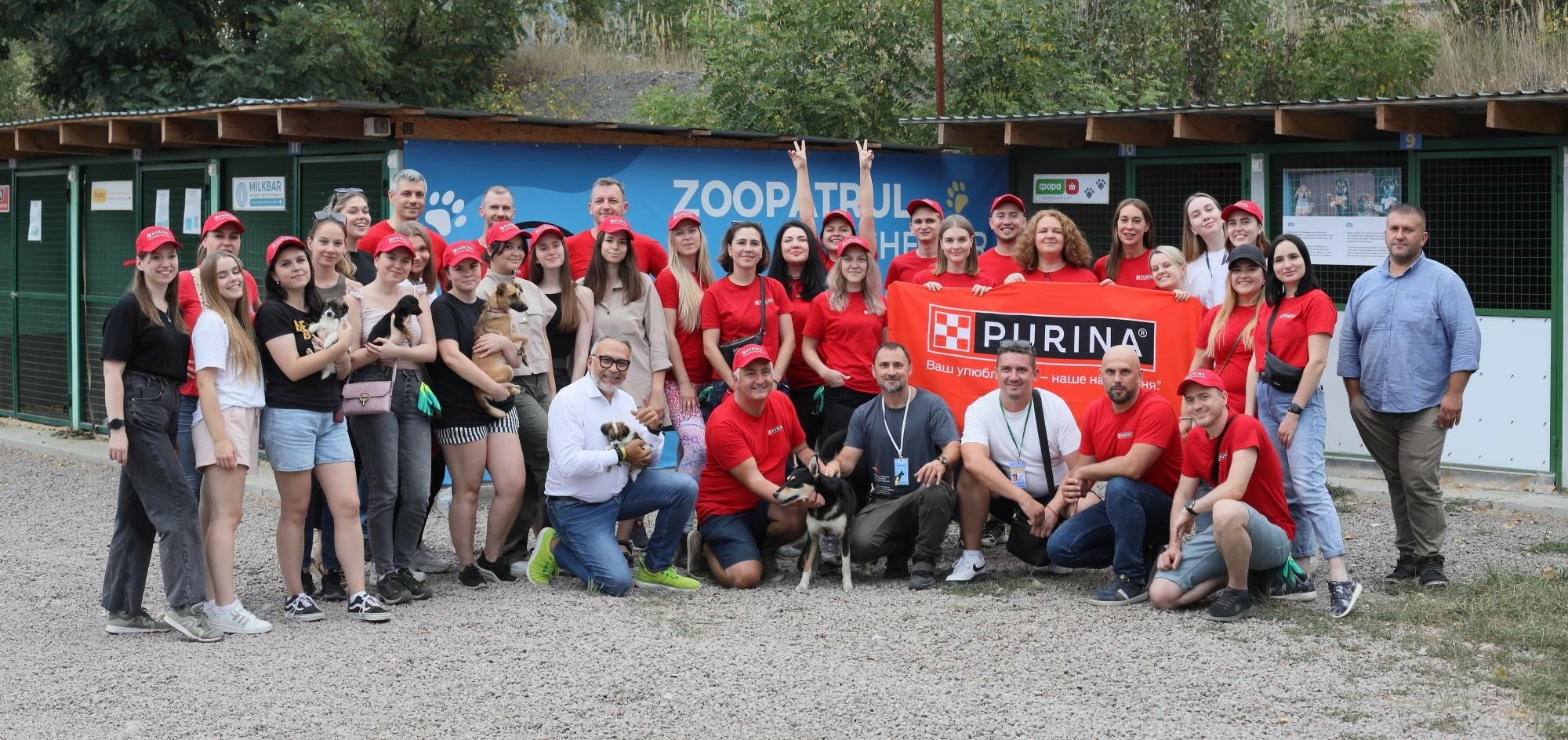 Поруч, щоб допомагати: Purina® та Зоопатруль об’єдналися для порятунку тварин