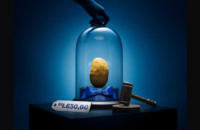 В Бразилии выставили картофелину на аукцион