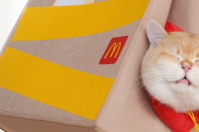 McDonald&#8217;s представив лежанку для котів