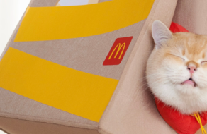 McDonald&#8217;s представил лежанку для котов