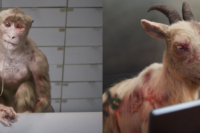 Графічна мавпа та коза показали реалії лабораторних випробувань на тваринах