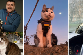 Українські коти війни стали героями матеріалу видання Politico