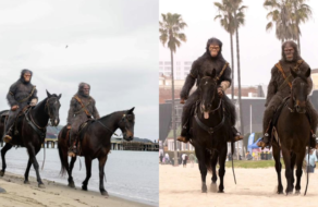 Обезьяны на лошадях заполонили пляжи США