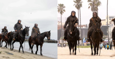Мавпи на конях заполонили пляжі США