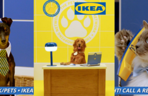 Собаки и коты презентуют новую коллекцию IKEA во время прямого эфира в TikTok