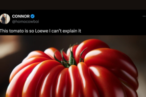 Loewe перетворив мем із соцмереж на сумку-помідор