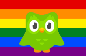 в рф Duolingo удалил из приложения всю «ЛГБТ-пропаганду»