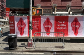 Постери із зображеннями вагін передали важливий меседж перехожим у Нью-Йорку