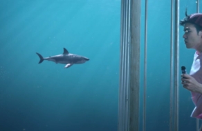 Ролик зобразив небезпеку вейпінгу за допомогою акул