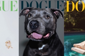 Dogue замість Vogue: видання випустило обкладинки з собаками Біллі Айліш, Демі Мур та інших зірок