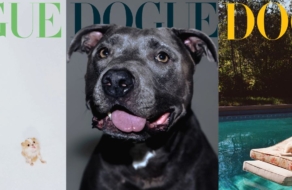 Dogue вместо Vogue: издание выпустило обложки с собаками Билли Айлиш, Деми Мур и других звезд