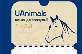 Райдшеринг-сервіс та UAnimals створили квиток, що рятує тварин із прифронтових територій