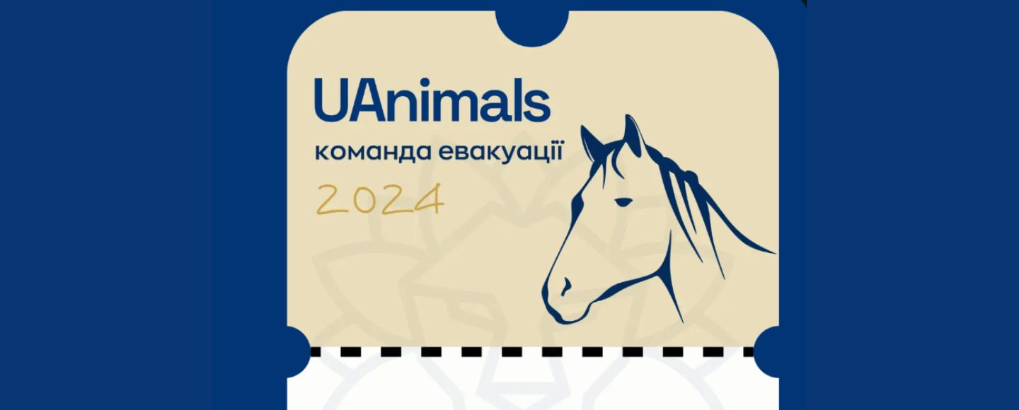 Райдшеринг-сервис и UAnimals создали билет, который спасает животных с прифронтовых территорий