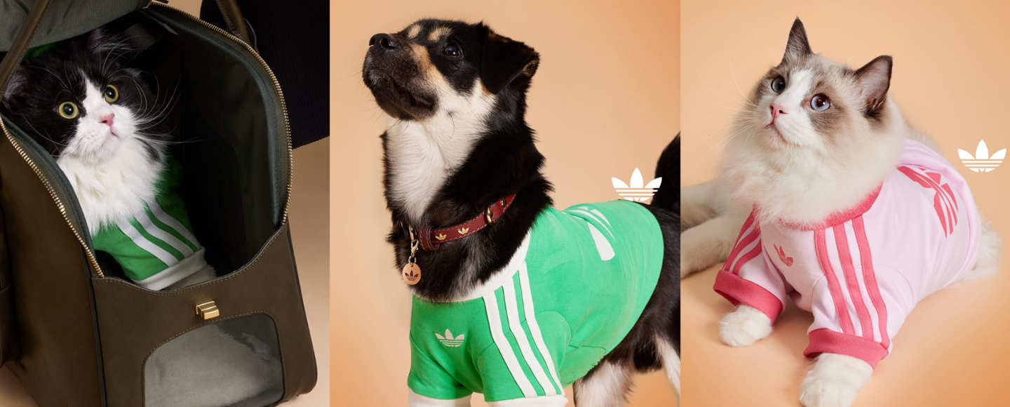Тренди pet-моди: Adidas представив колекцію одягу для тварин