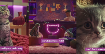 Як доглядати за кошеням: Whiskas створив подкаст для котобатьків