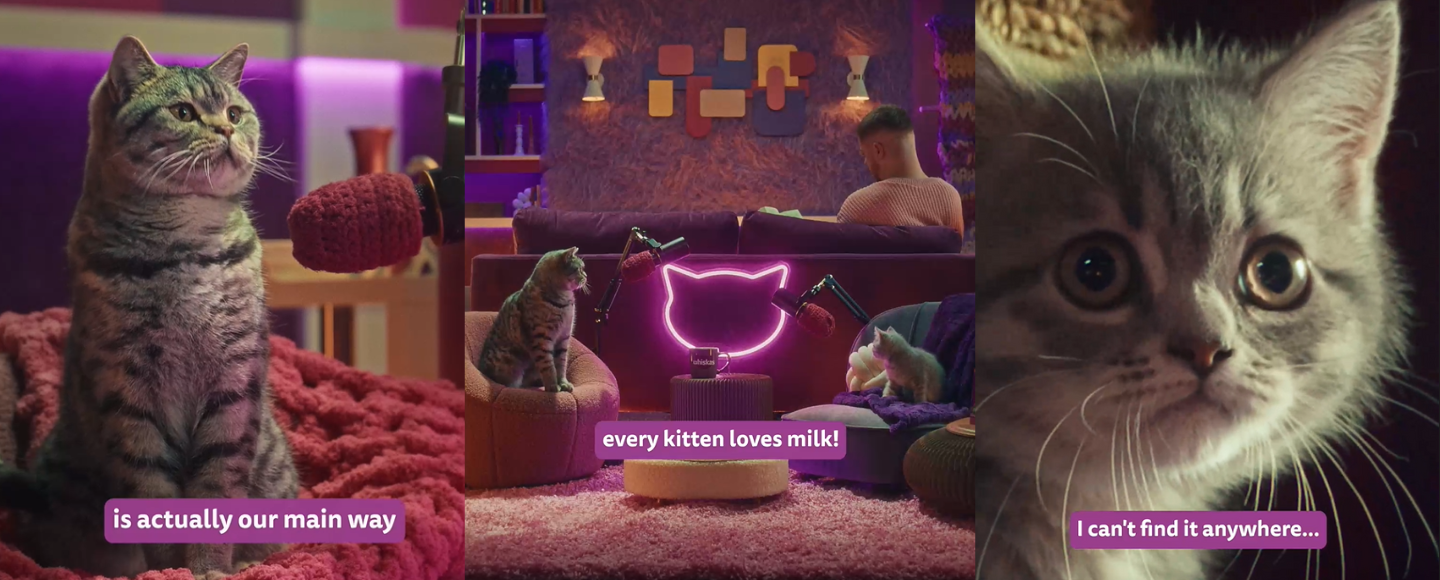 Як доглядати за кошеням: Whiskas створив подкаст для котобатьків
