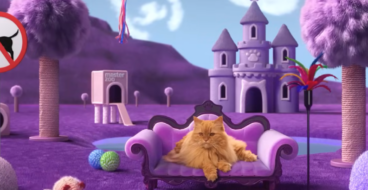 MasterZoo розповіла, що сниться домашнім улюбленцям