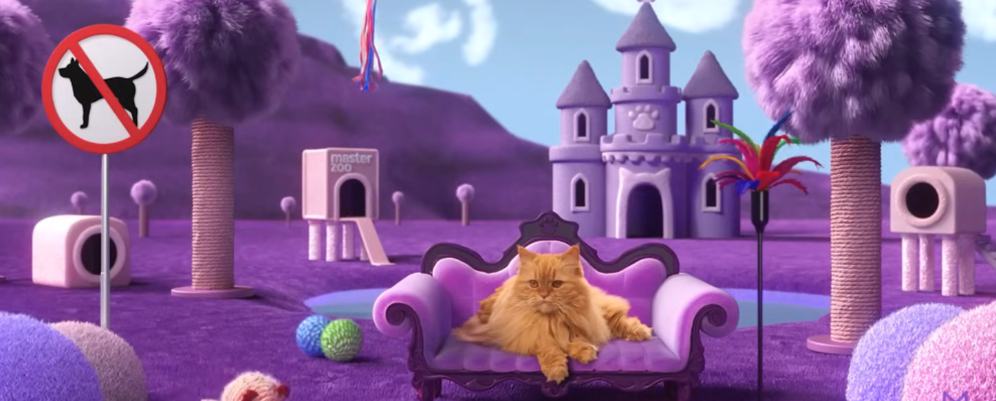 MasterZoo розповіла, що сниться домашнім улюбленцям