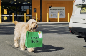 Uber Eats запустив доставку товарів собакою-водієм