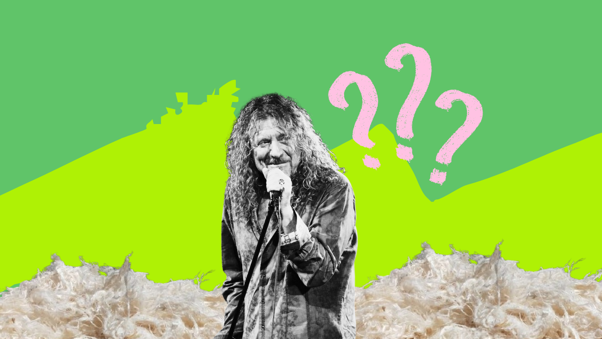 Соліста Led Zeppelin попросили змінити ім’я: що стало причиною