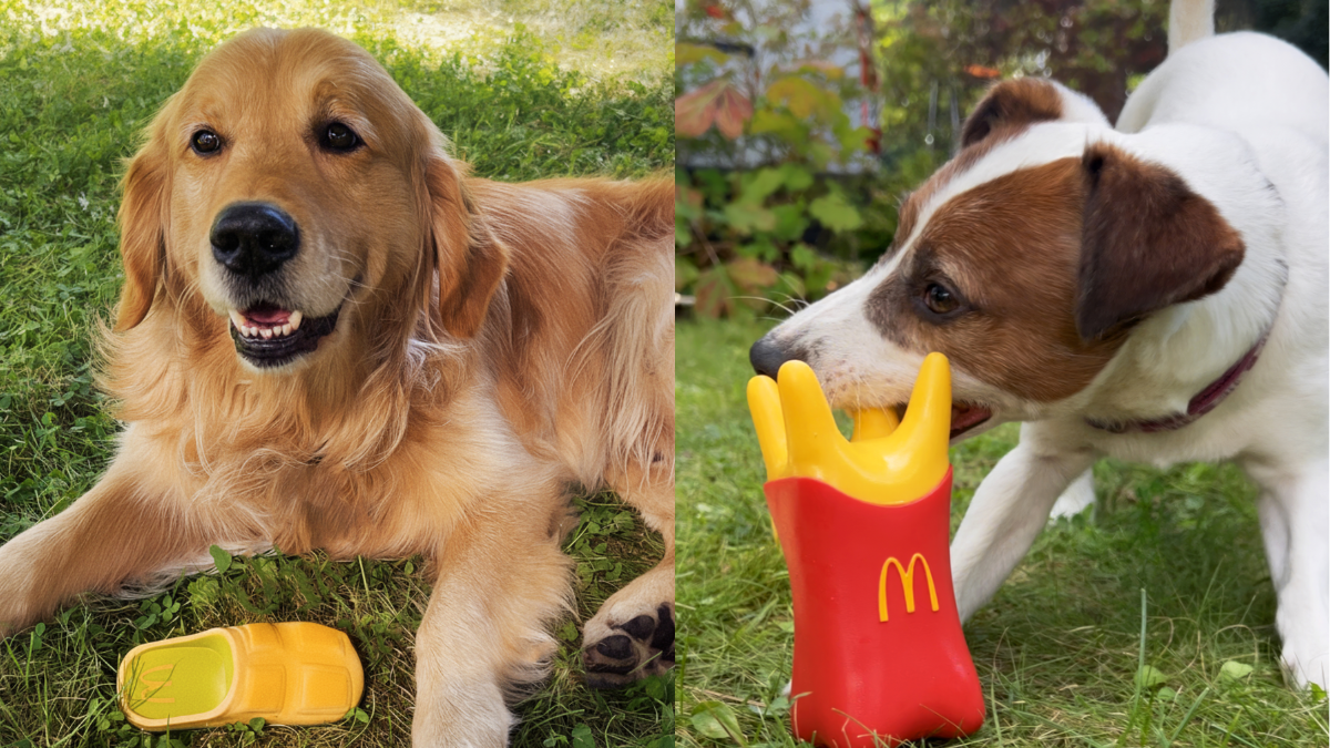 McDonald’s створив колекцію іграшок для собак