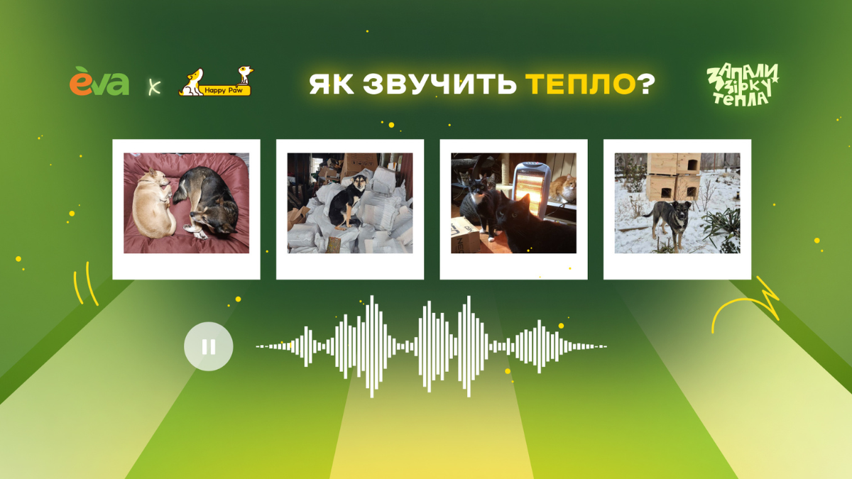 Як звучить тепло: EVA та Happy Paw створили ASMR-плейлист
