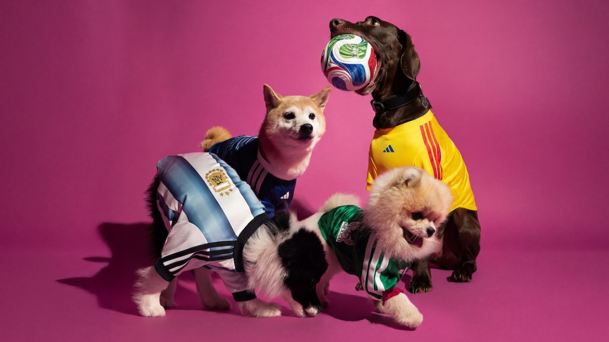 adidas випустив колекцію футболок для собак до ЧС-2026
