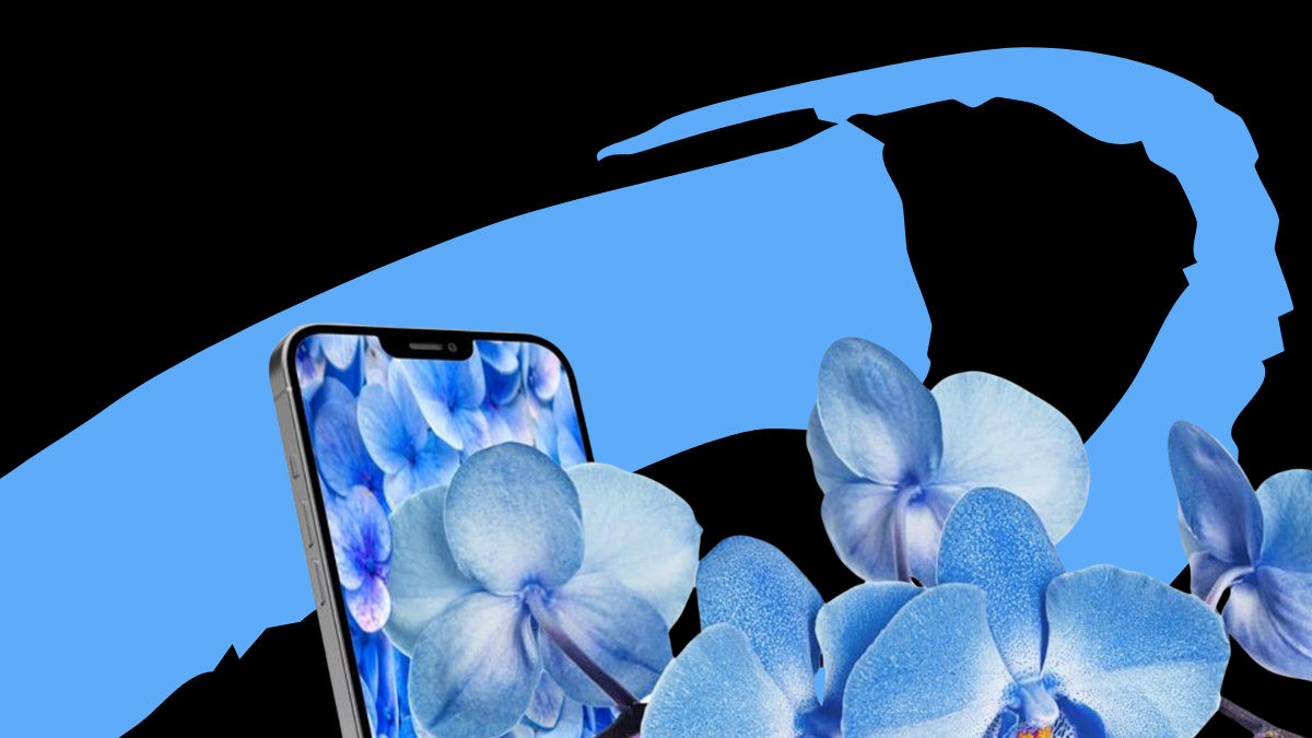 Bloomscrolling: як новий тренд змінює споживання контенту в соцмережах